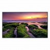 Écran Videowall Samsung LH65QBBEBGCXEN UHD 65" LED 50-60 Hz 65"