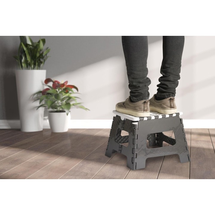 Carte postale microlorge