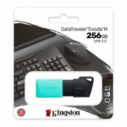 Clé USB Kingston DataTraveler DTXM 256 GB 256 GB