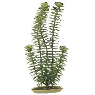 AQUA Plantes artificielles Marina Anacharis 12,5 cm - Plastiques - Ver