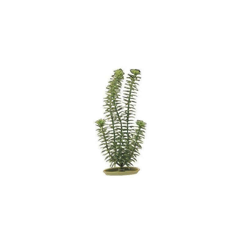 AQUA Plantes artificielles Marina Anacharis 12,5 cm - Plastiques - Vertes - Pour aquarium