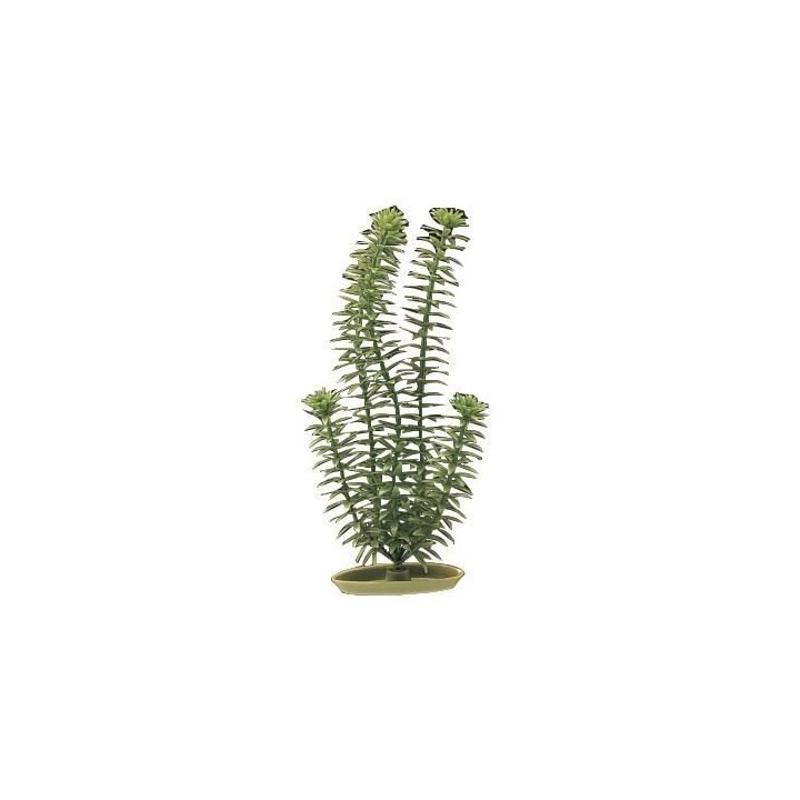 AQUA Plantes artificielles Marina Anacharis 12,5 cm - Plastiques - Ver