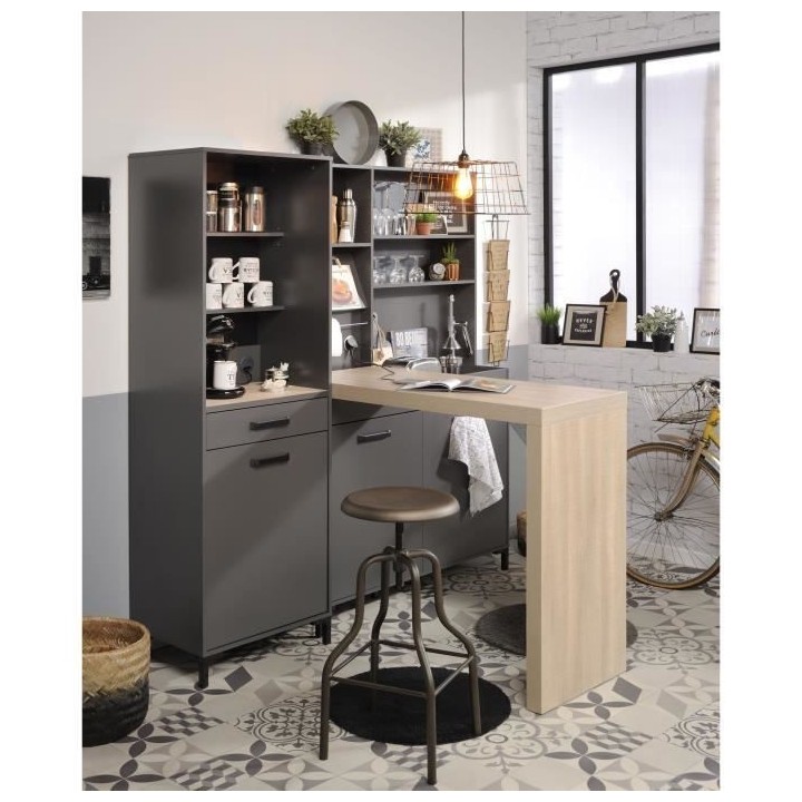 STORM Colonne - Coloris Gris ombre - L60 x P42 x H188 cm - 1 Porte + 1