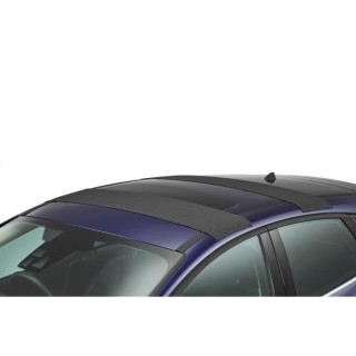 HANDIWORLD HandiRack Coussinets Anti-dérapants - Haute adhérence - S