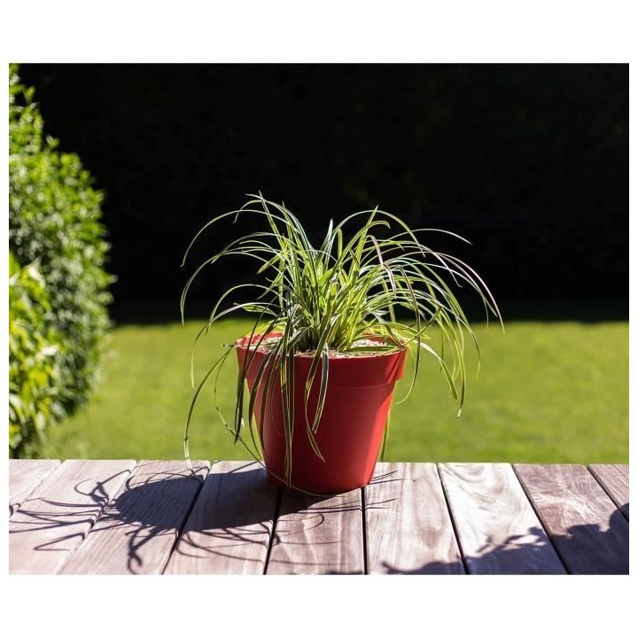 EDA Pot de fleur rond Toscane - Ø 30 x H 26 cm - 10 L - Rouge rubis