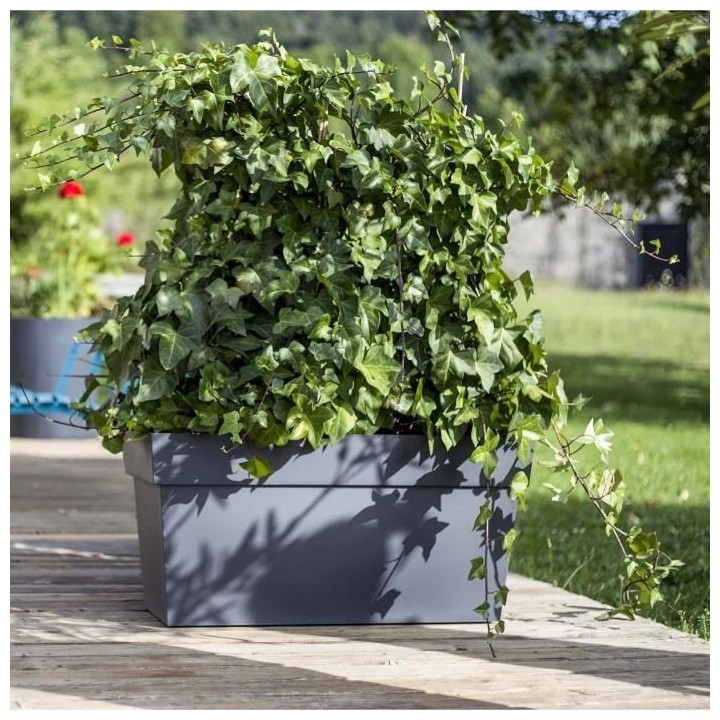 EDA Muret avec roulettes Toscane - 79 x 35 x H 39 cm - 74 L - Noir