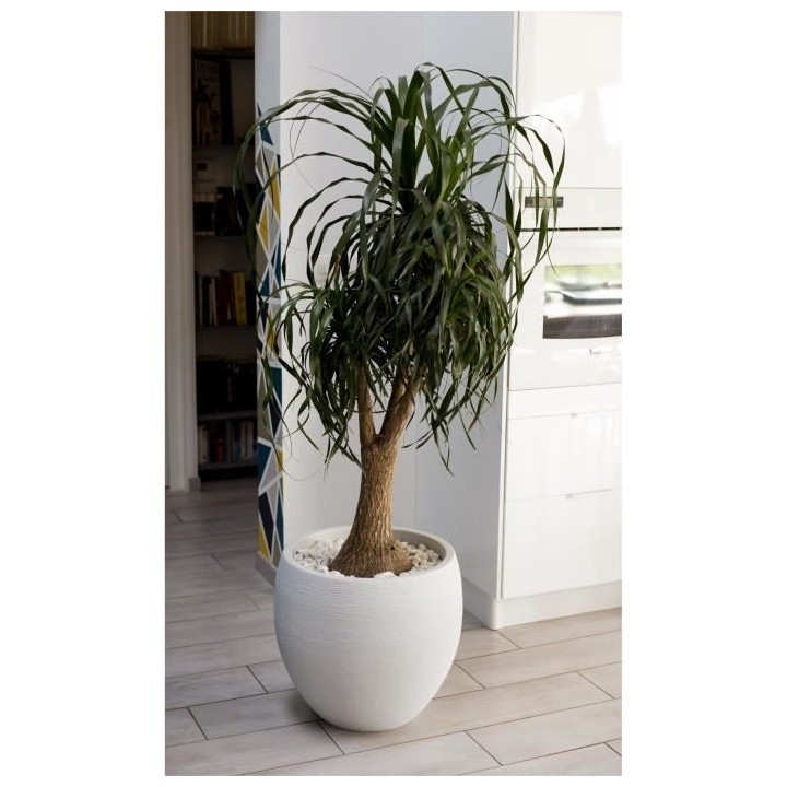 EDA Pot rond Graphit Ø50cm - Contenance 46L - Blanc cérusé