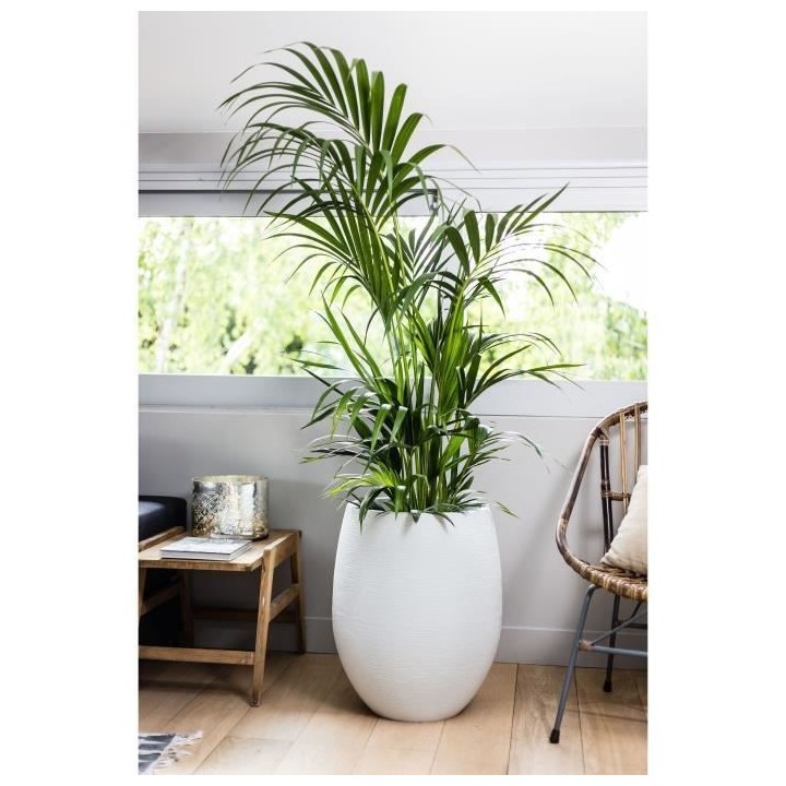 Pot rond Graphit - EDA PLASTIQUE - Contenance 53L - Blanc cérusé