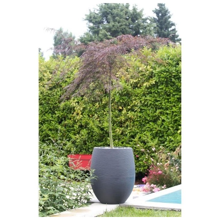 EDA Pot rond Graphit Ø50cm - Contenance 53L - Gris anthracite