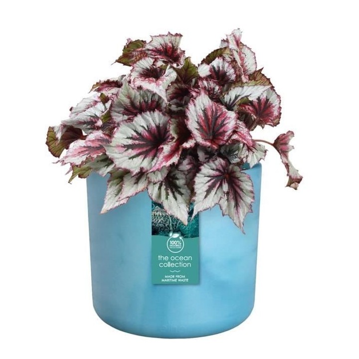 Pot de fleurs ronde ELHO The Ocean Collection - Bleu - Ø 22 x H 20 cm