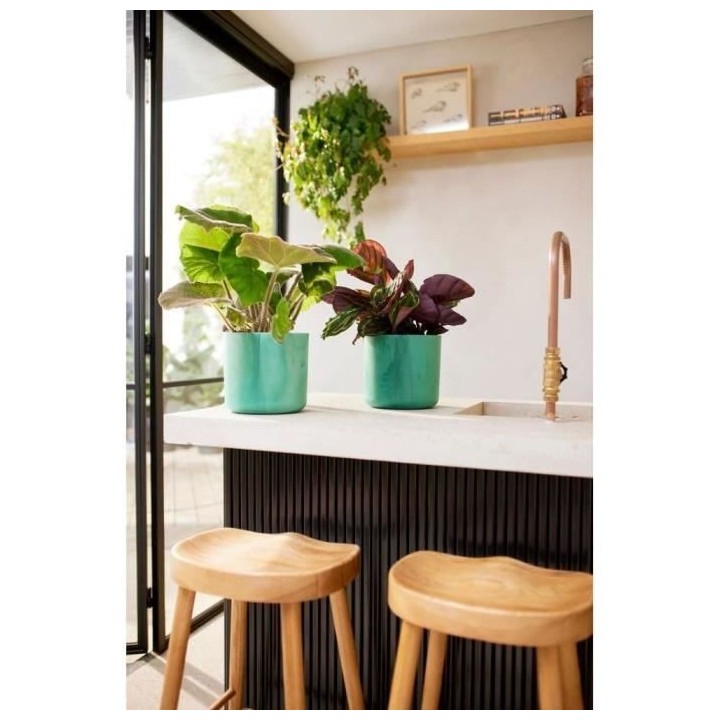 ELHO The Ocean Collection Pot de fleurs ronde 22 - Vert - Ø 22 x H 20