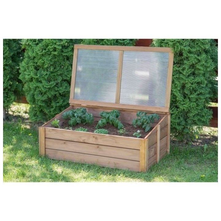 EKJU Serre avec plexiglass en sapin - 100 x 60 x H 39 cm