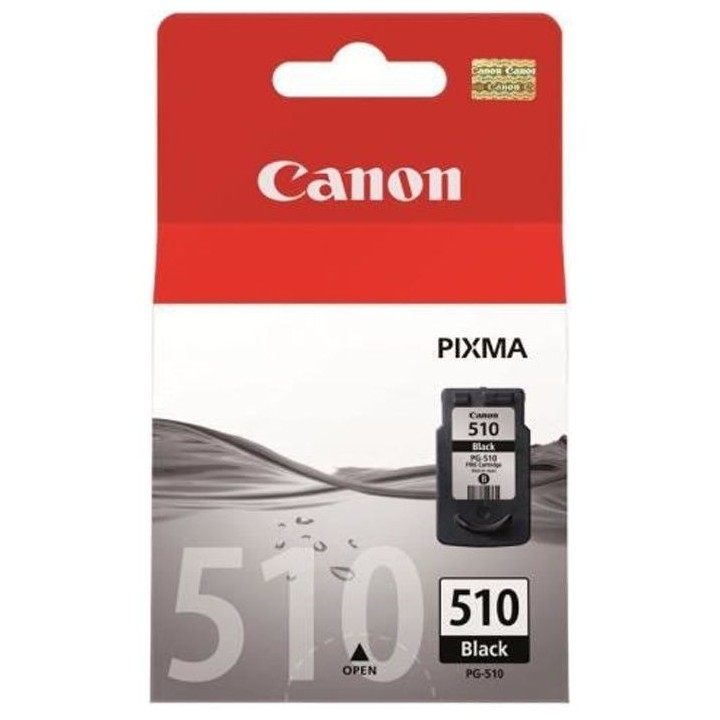 CANON Cartouche d'encre PG-510 Noir