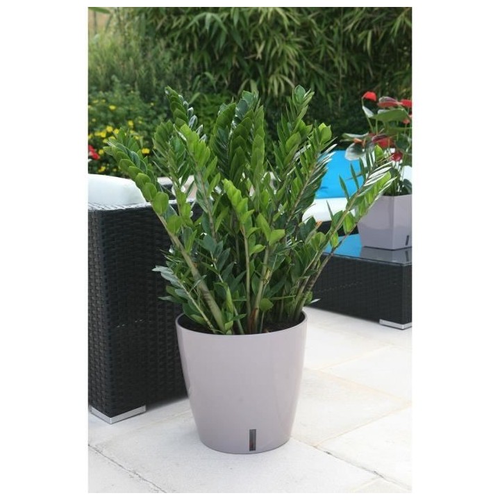 Pot de fleur rond en plastique - RIVIERA - EVA NEW - Avec réserve d'e