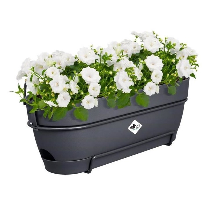 Elho Vibia Campana Balconniere Allin1 50 - Noir - L 50 x B 26 x H 17 c