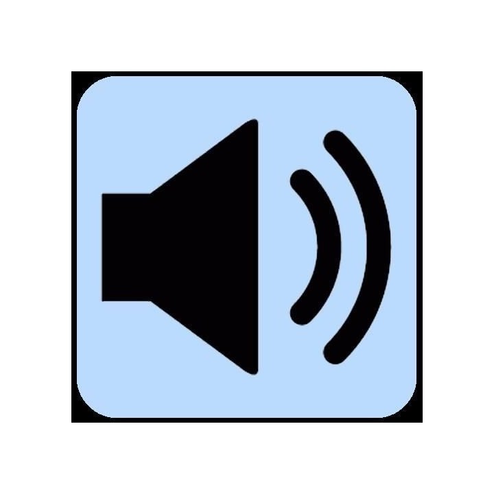 LUMISKY Lampe musicale d'extérieur avec haut parleur - 21 x 21 x 31 c