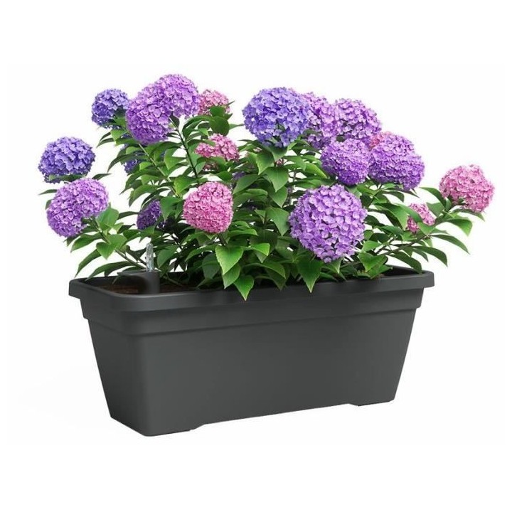 Jardiniere - Plastique - Anthracite - Rectangulaire - L57,9 x P24,3 x