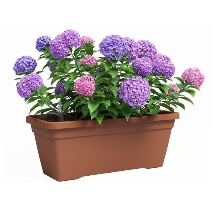 Jardiniere - Plastique - Terre cuite - Rectangulaire - L57,9 x P24,3 x