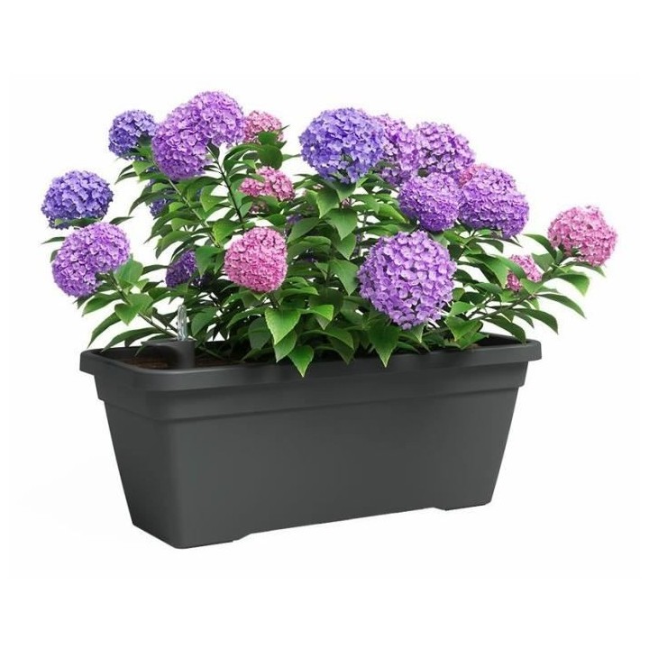 Jardiniere - Plastique - Anthracite - Rectangulaire - L77,9 x P24 x H2