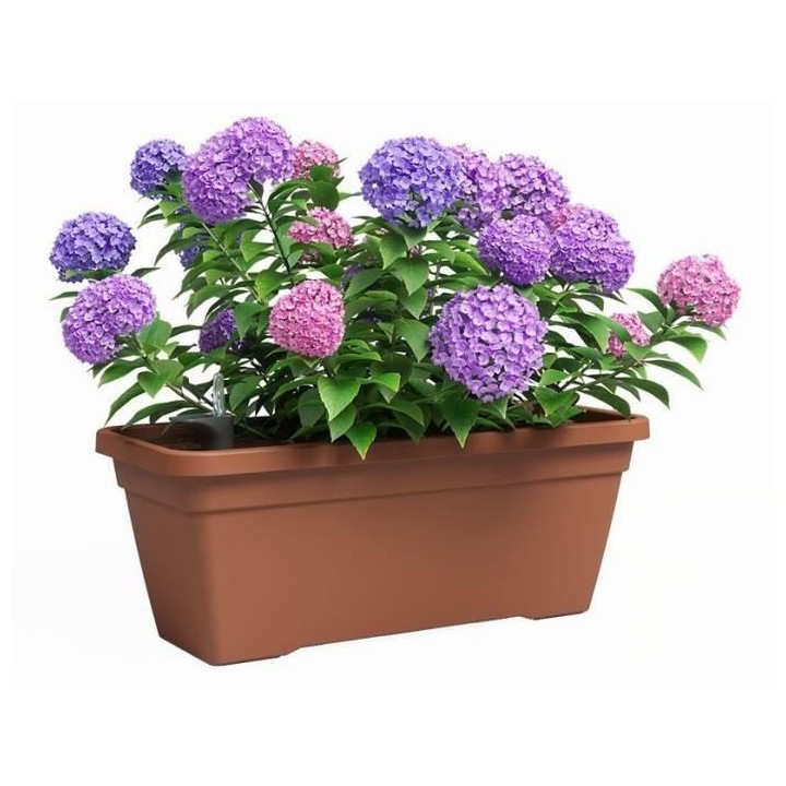 Jardiniere - Plastique - Terre cuite - Rectangulaire - L77,9 x P24 x H