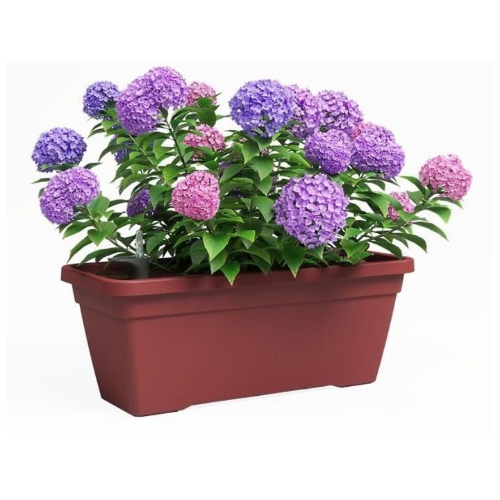 Jardiniere - Plastique - Rouge Foncé� - Rectangulaire - L77,9 x P24