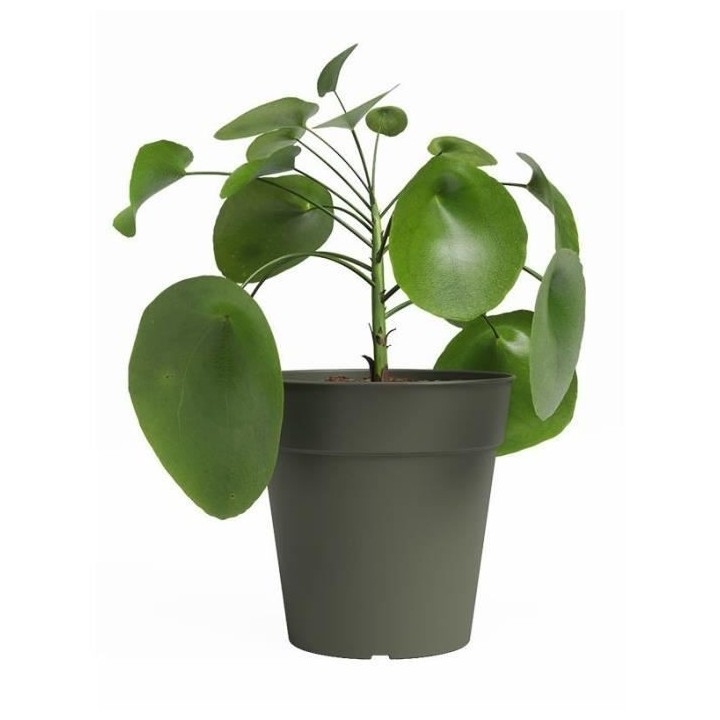 Pot de culture - ARTEVASI - MADAGASCAR - Vert sec - L50 x P50 x H47,7