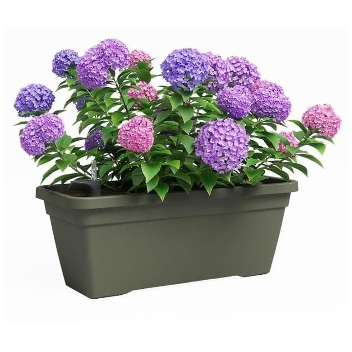 Jardiniere - Plastique - Vert sec - Rectangulaire - L57,9 x P24,3 x H2