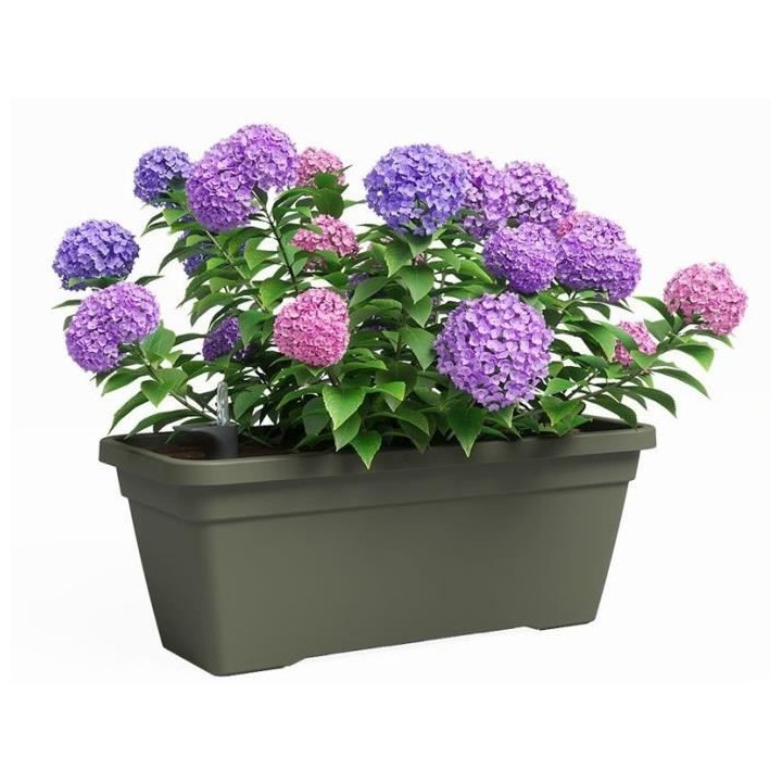 Jardiniere - Plastique - Vert sec - Rectangulaire - L77,9 x P24 x H22c