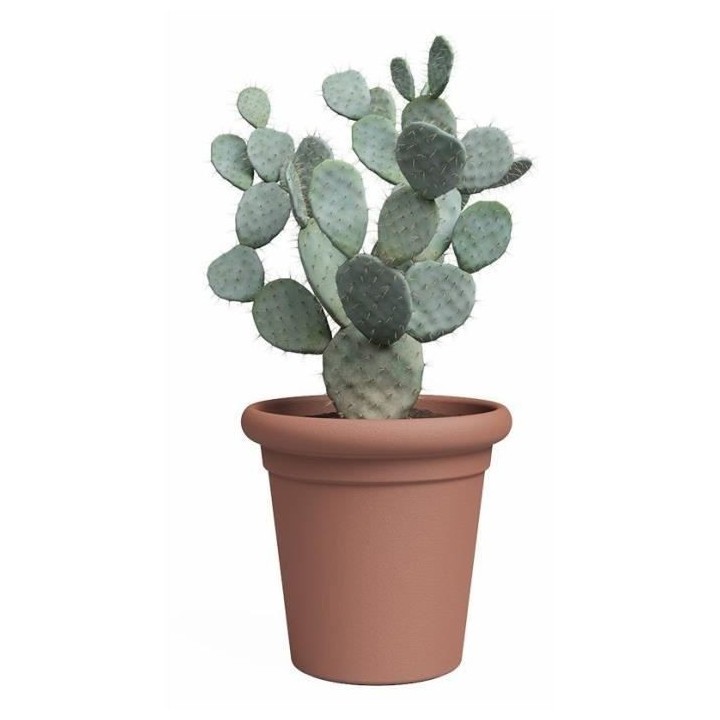 Pot - ARTEVASI - TOSCANA - Terre cuite - L40 x P40 x H38,2 cm