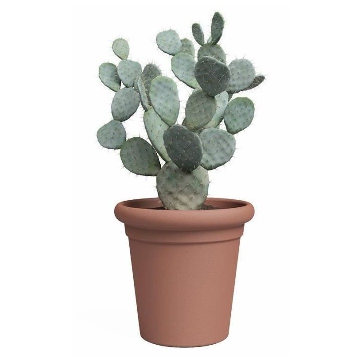 Pot - ARTEVASI - TOSCANA - Terre cuite - L50 x P50 x H47,7 cm