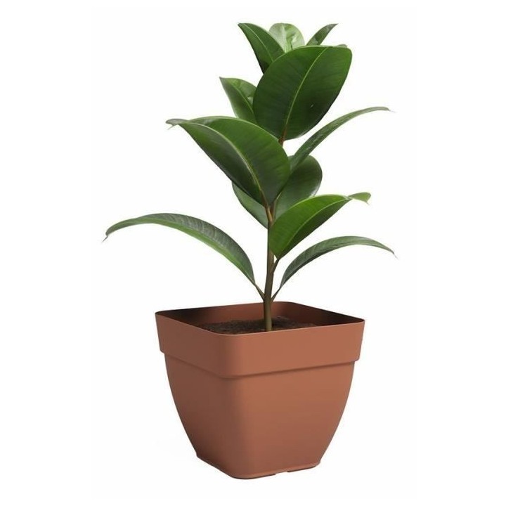 Pot - ARTEVASI - CAPRI CAMPANA - Carrée� - Terre cuite - L36,5 x P3