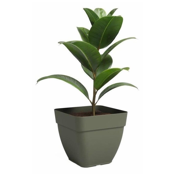 Pot - ARTEVASI - CAPRI CAMPANA - Carrée� - Vert sec - L36,5 x P36,5