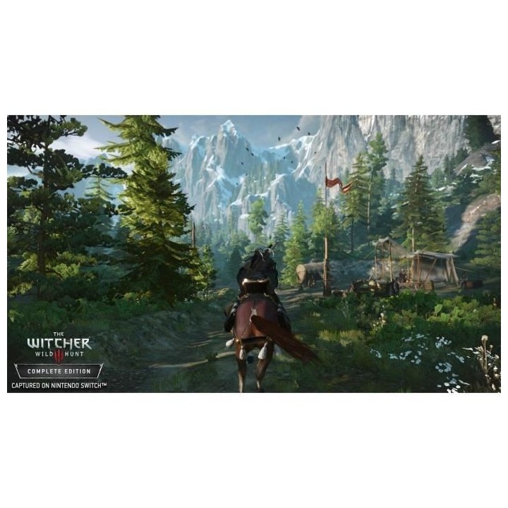 The Witcher 3 : Wild Hunt Jeu Switch