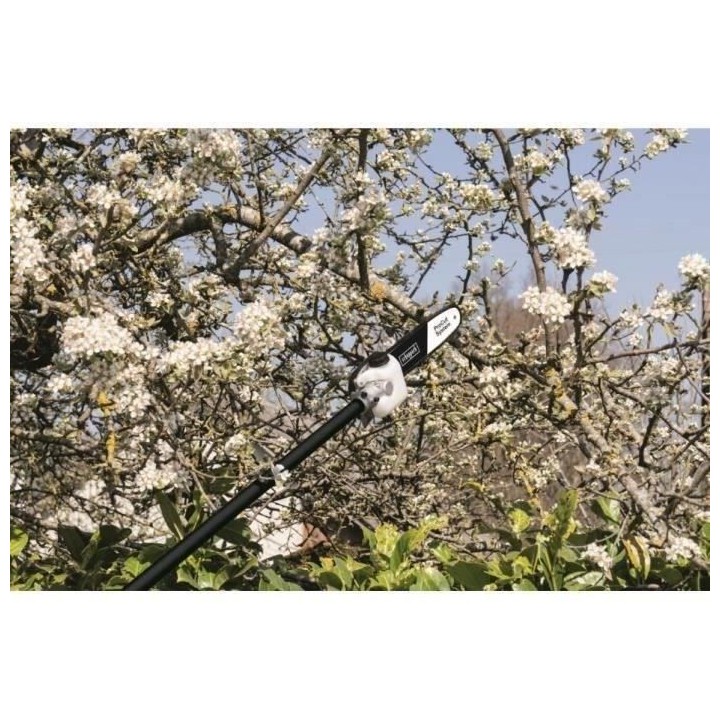 Débroussailleuse thermique 4 en 1 SCHEPPACH 52CC (débrousailleuse,