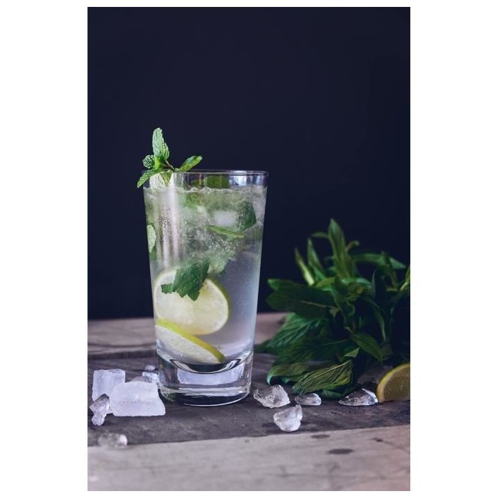 Mojito Cuerpo 3L Bib 15°