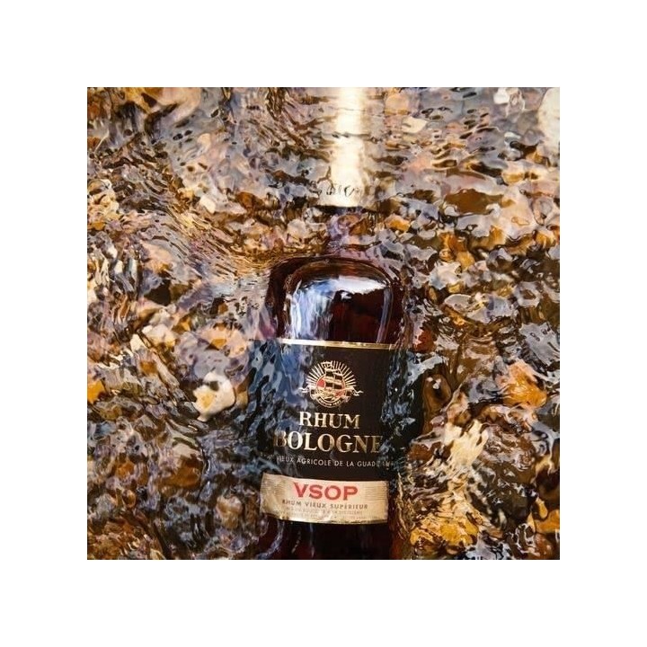 Bologne - Vieux VSOP - Rhum - 42.0% Vol. - 70 cl