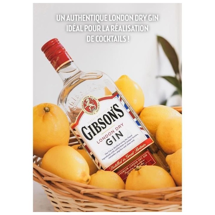 London dry gin 70 cl Gibson's