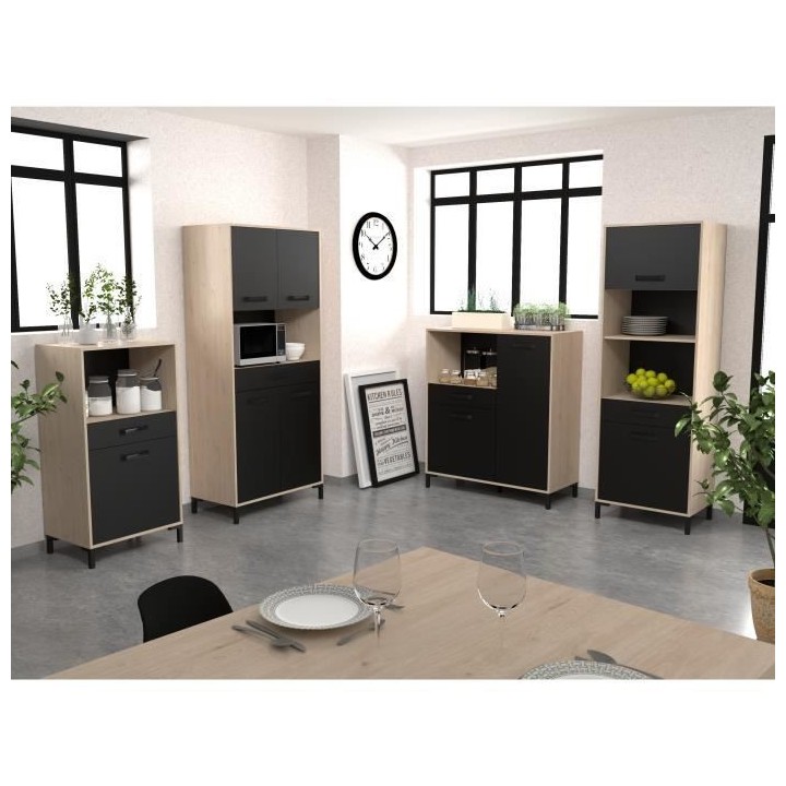 FACTORY Buffet de cuisine 60 cm - 2 portes - L 60 x P 43 x H 185 cm -