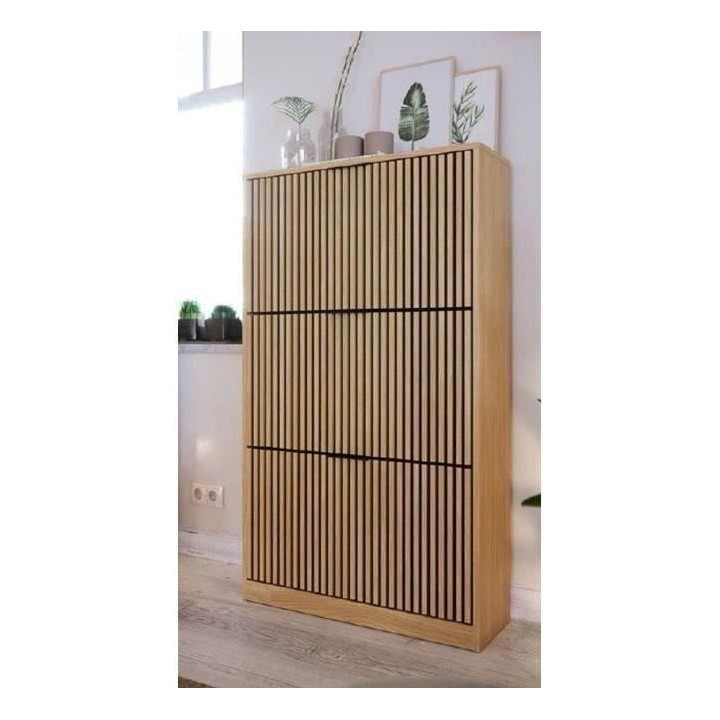 Meuble a chaussures Tasseaux 3 portes