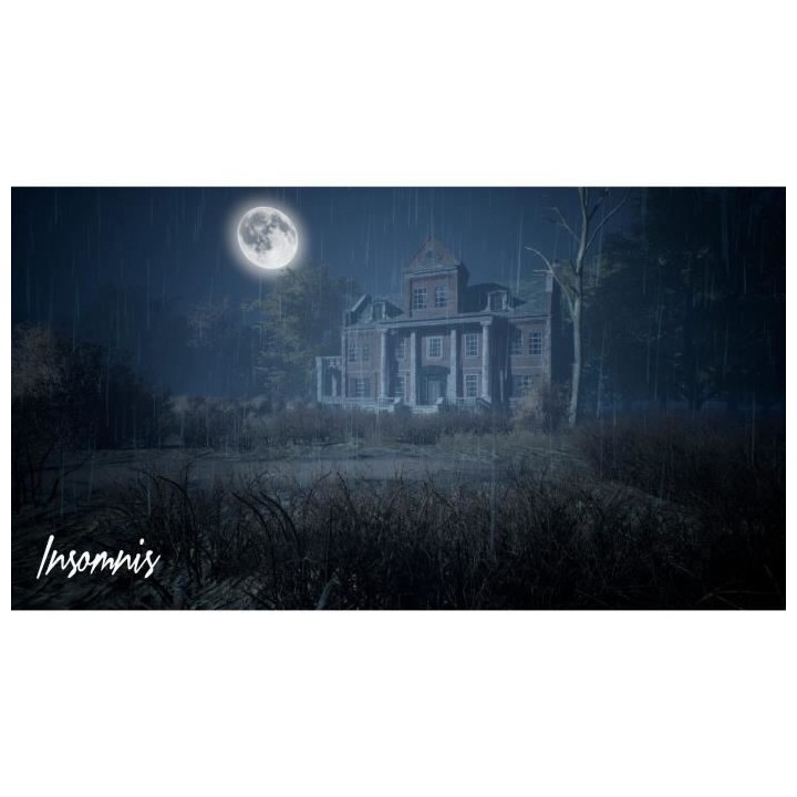 Insomnis - Jeu Nintendo Switch (code dans la boîte)