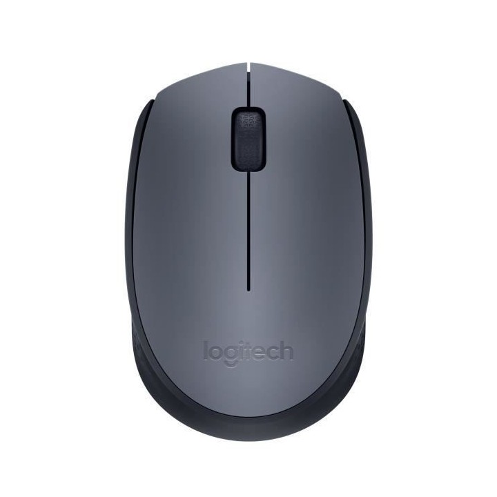 LOGITECH - Souris Sans Fil Ambidextre M170 - Gris