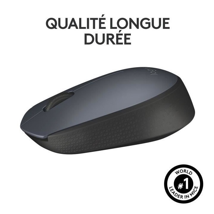 LOGITECH - Souris Sans Fil Ambidextre M170 - Gris