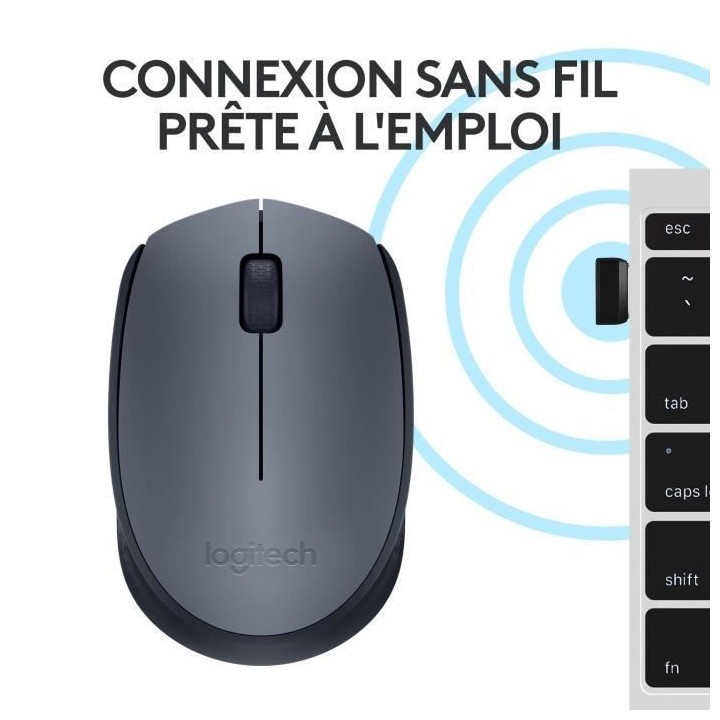 LOGITECH - Souris Sans Fil Ambidextre M170 - Gris