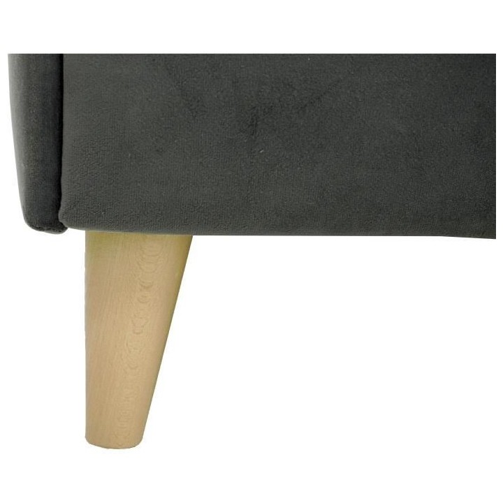 Lit adulte LONY - Couchage 160x200 cm - Tissu velours mat Anthracite -