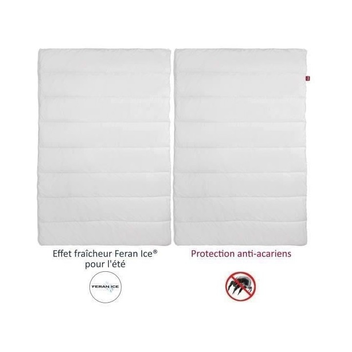 ABEIL Couette 4 Saisons ANTI-ACARIENS 140x200cm