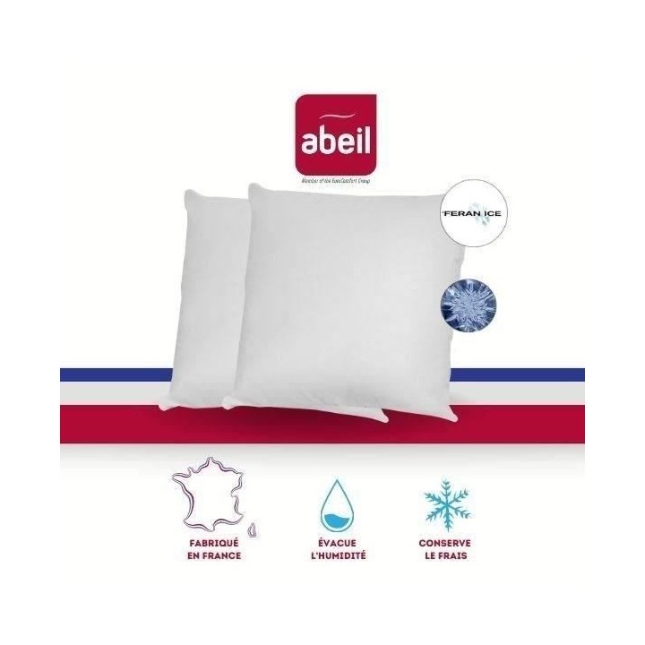 ABEIL Lot de 2 Oreillers moelleux ICEBERG 60x60cm
