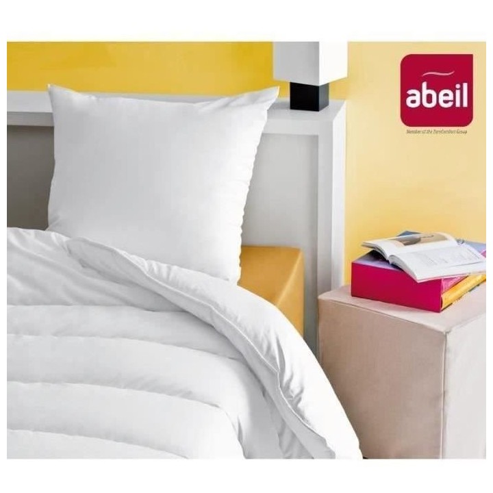 ABEIL Lot de 2 Oreillers Douceur - 60 x 60 cm - Blanc