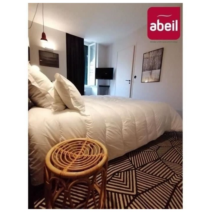 ABEIL Couette Ultima Confort 450 - 140 x 200 cm