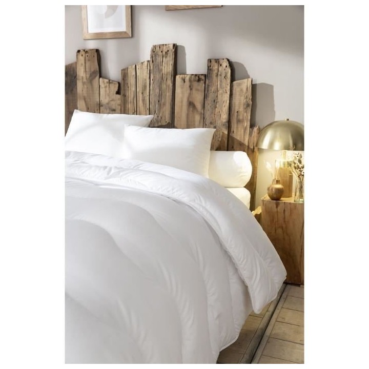 ABEIL Couette chaude 400gr/m² Thermofill 220 x 240 cm
