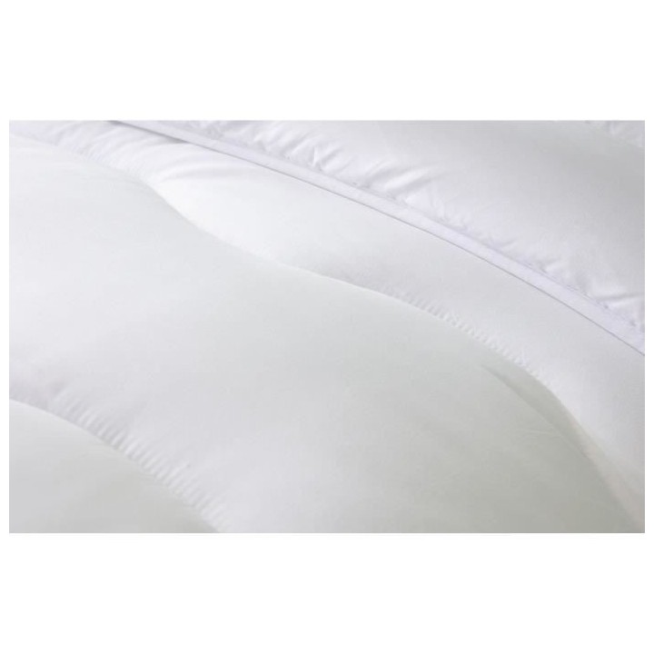 ABEIL Couette chaude 400gr/m² Thermofill 220 x 240 cm